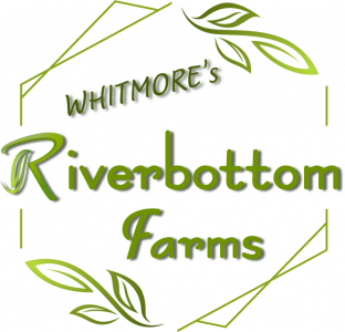 RB Farms eco farming Color 02 RB Farms eco farming Color 02