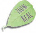 Leaf green background real Leaf green background real